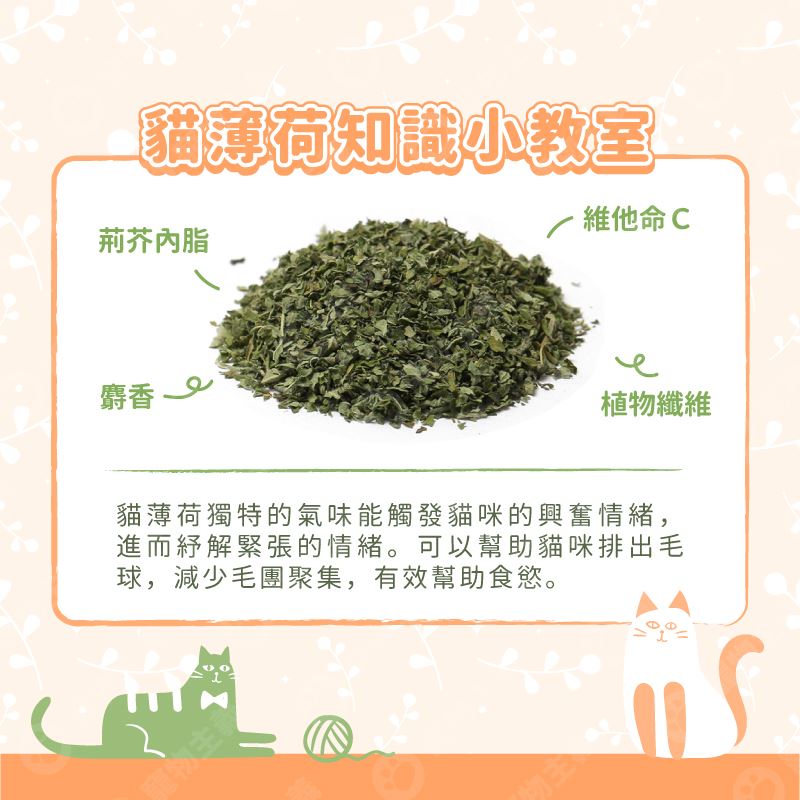 Catfeet 茨木草 特級貓薄荷 木天蓼粉