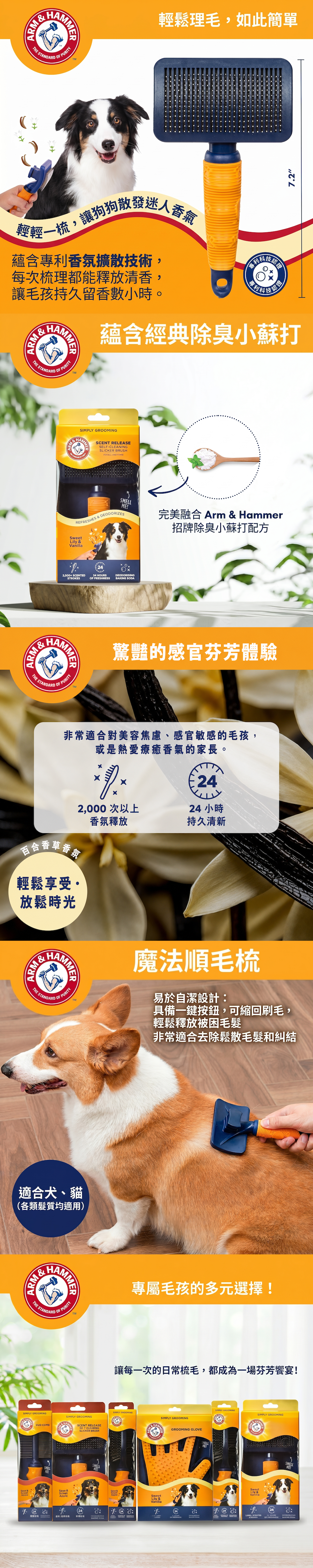 梳子;梳具